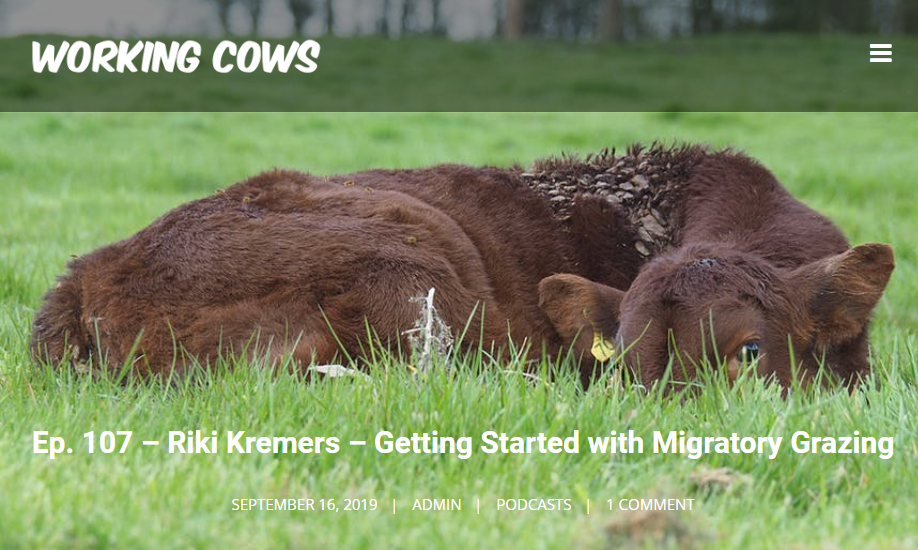 Working Cows podcast
