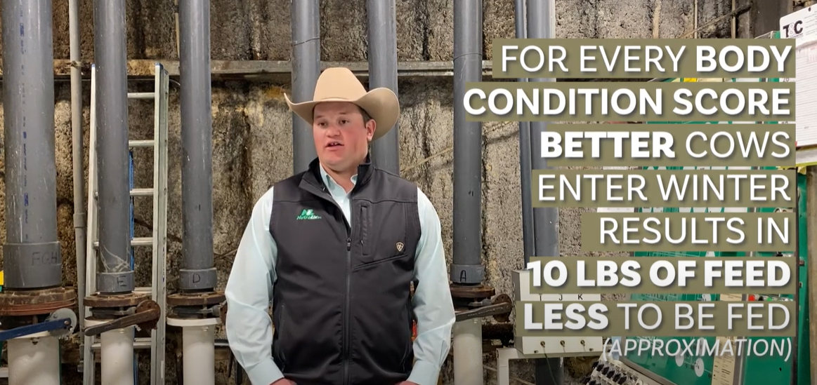 Supplemental Feed video