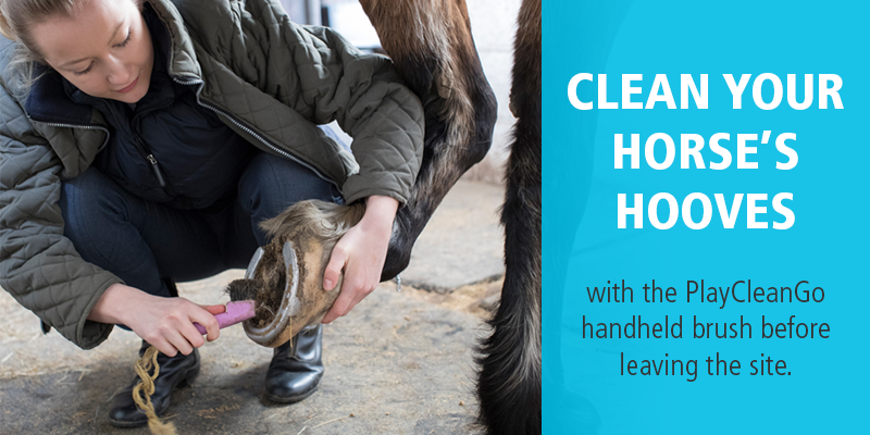 Clean your horses hooves