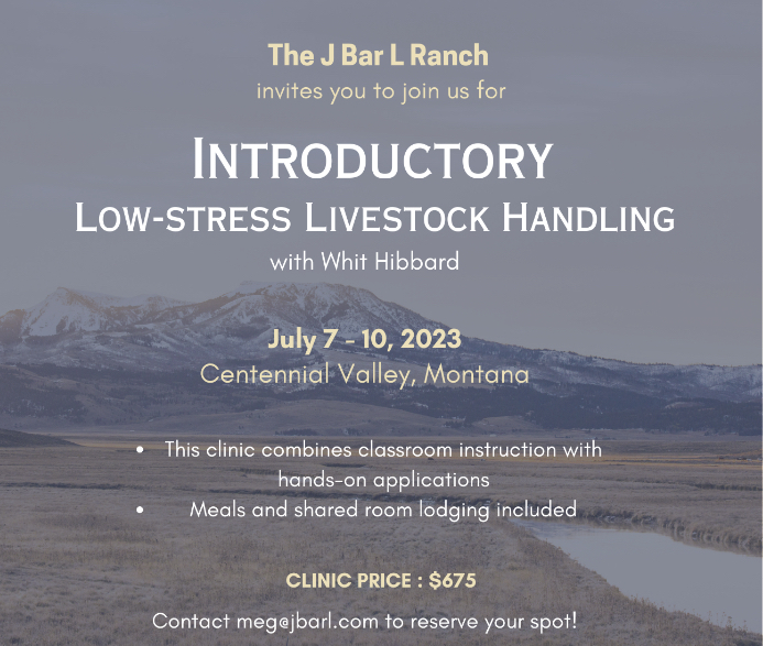 livestock handling clinic1