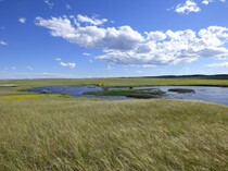 Water on rangeland.