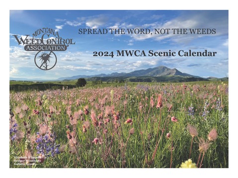 MWCA Calendar