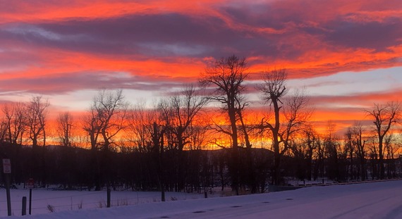 November 2023 Newsletter