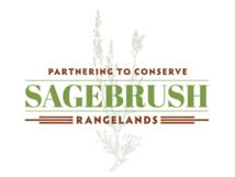 Partnering in the Sage Logo