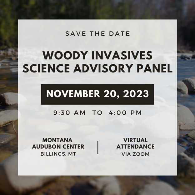Woody Invasives Save the Date
