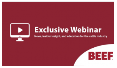 ExclusivePodcastBeef