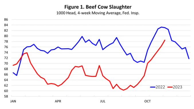Cow and Heifer Slaughter