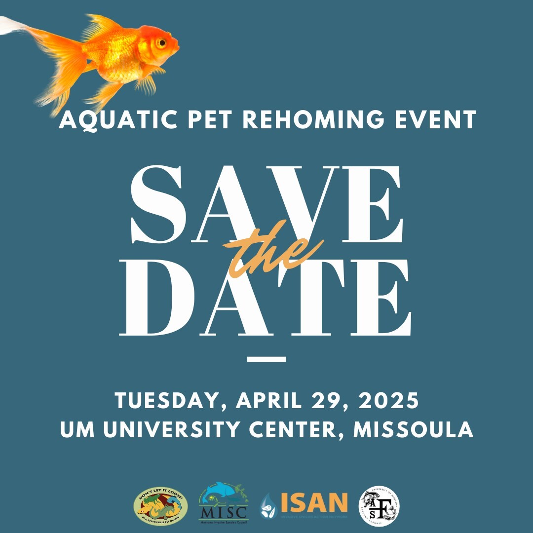 ISAN Pet Rehome Missoula