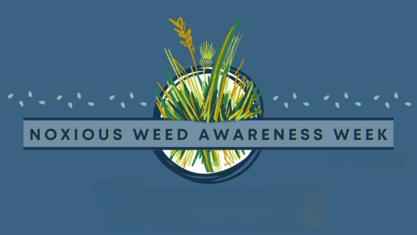 Noxious Weed Awareness Week