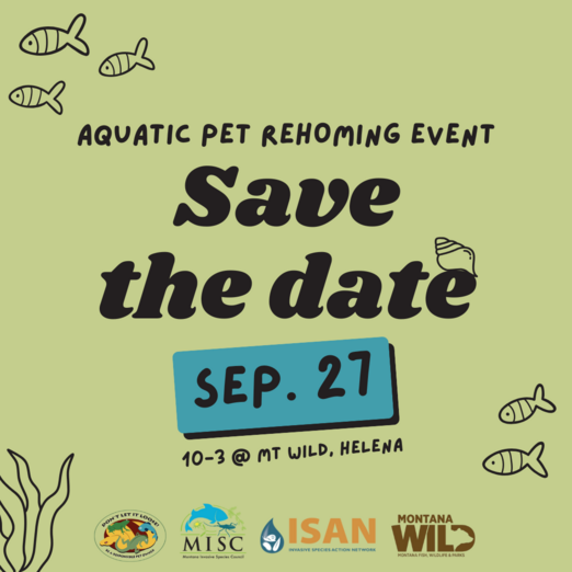 ISAN pet rehoming Helena