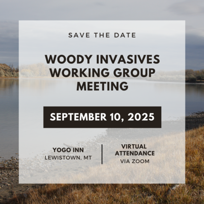 ISAN woody invasive meeting