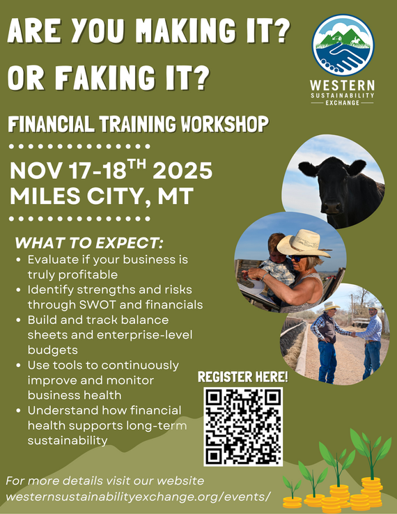 financial training series