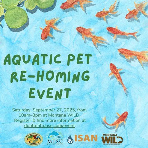 ISAN pet rehome Helena