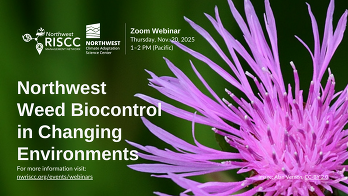 Northwest Weed Biocontrol in changing Environments