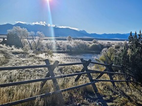 Frosty Sun_Madison R_2025