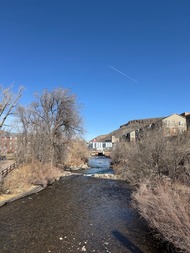 Traci Photo_Colorado