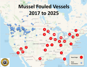 mussel vessels 2017-2025