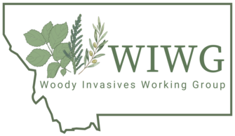 Woody Invasives Working Group