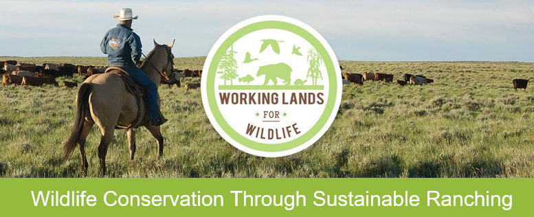 working lands