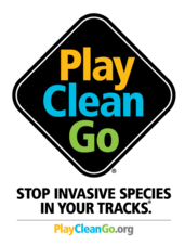 logo play clean go