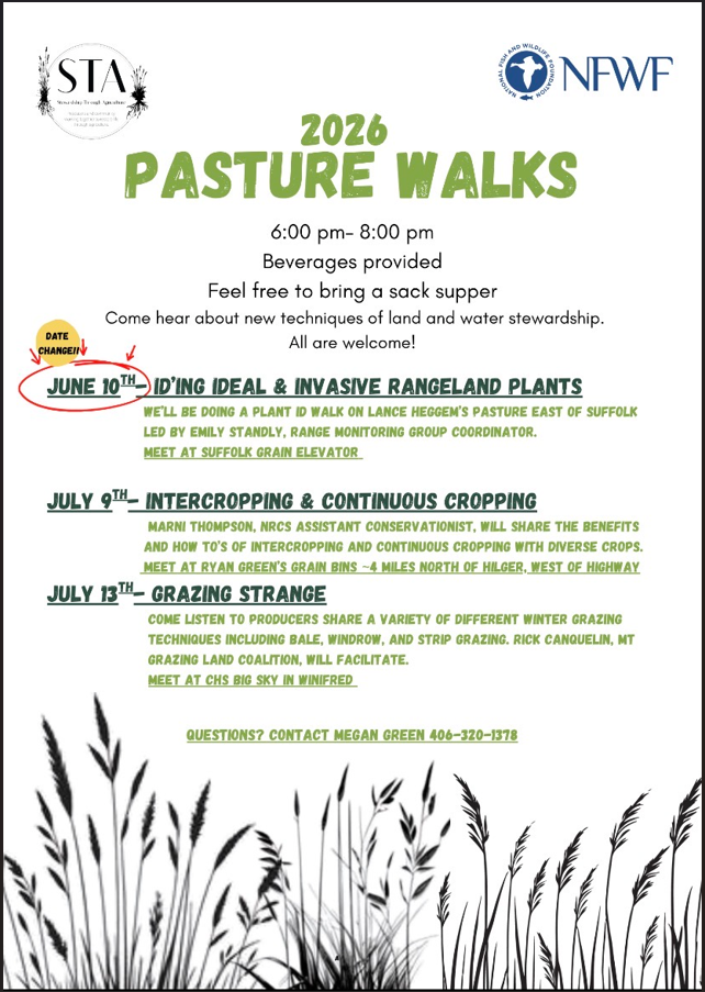 Pasture walk details for STA.