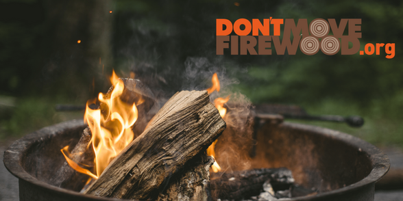 logo don't move firewood