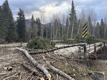 Bridge Debris