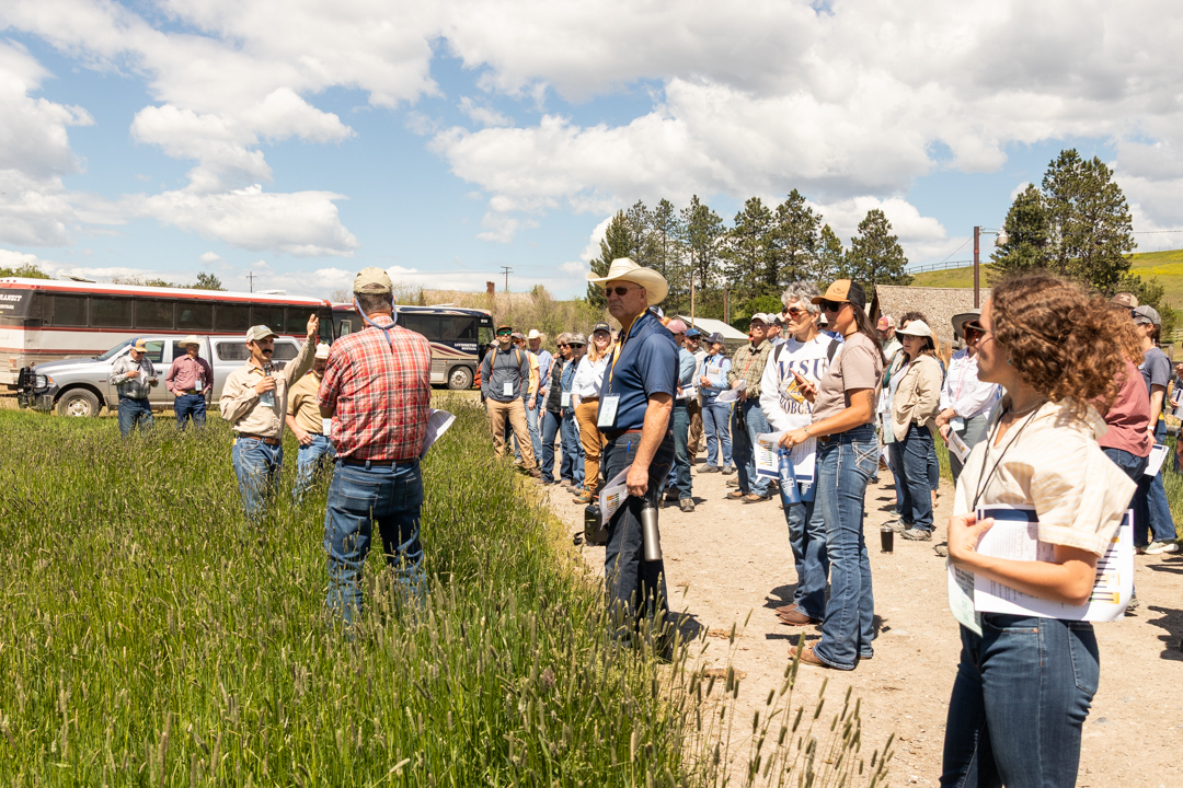 Montana Range Tour