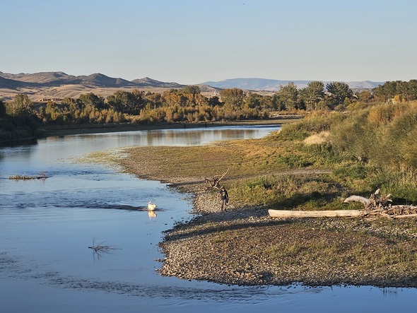 Boy and Dog_Jefferson River_Fall 2026_By: Shylea