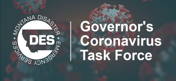 Governors Coronavirus Task force
