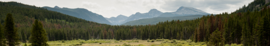 Montana Landscape
