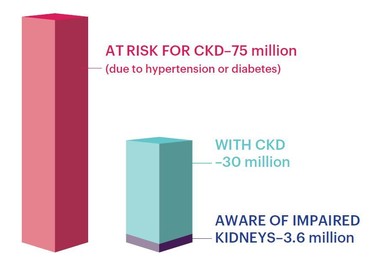 CKD risk and awareness