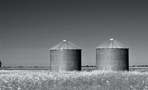 Silos on prairie
