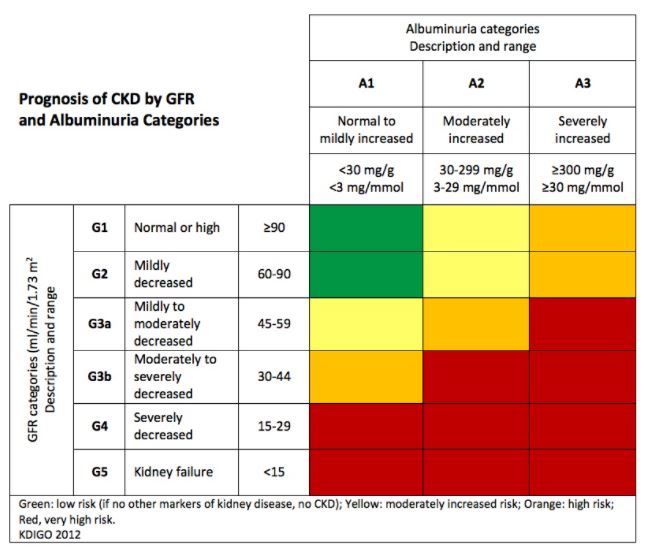 Kidney.org heat map on screening with ACR and eGFR