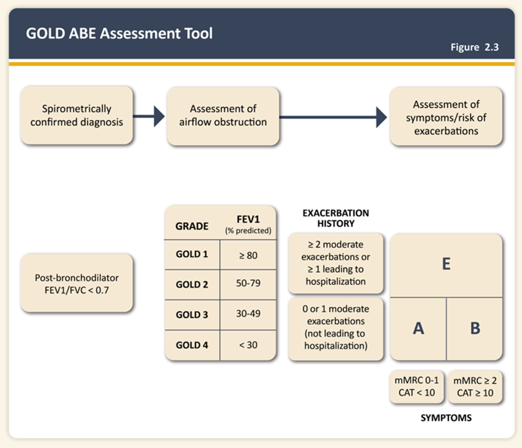 COPD assessment tool