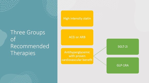Slide laying out recommended therapies