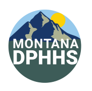 New DPHHS Logo