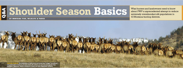 Here's what you need to know