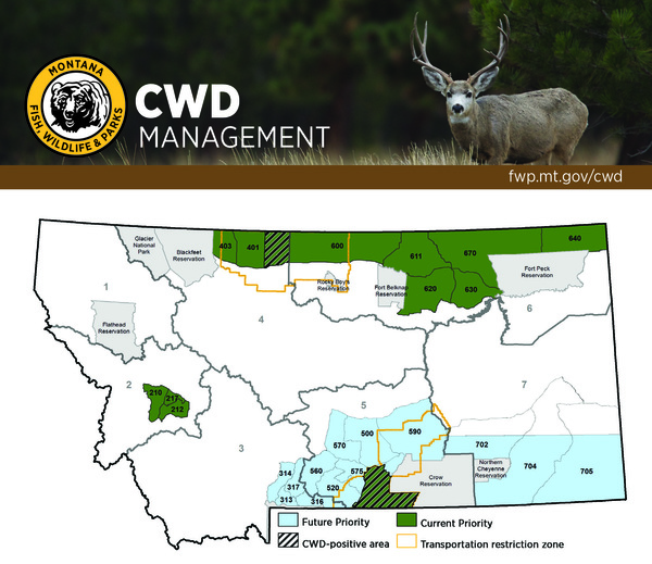 MT -- CWD - Deer/Big Game Hunting - Upland Journal Board