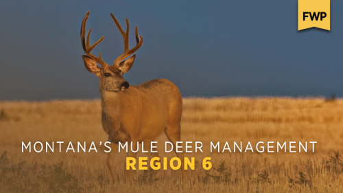 Region 6 Mule Deer Management