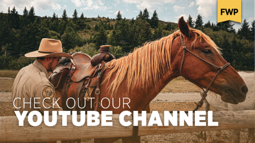 Check out our YouTube Channel