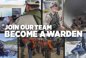 Become a Warden