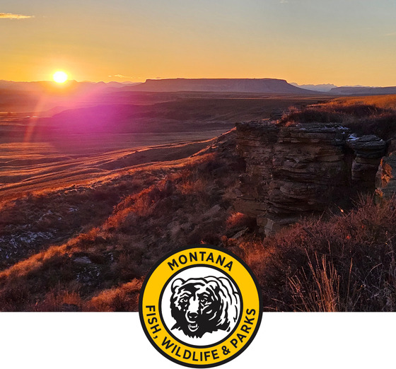 State Park Event