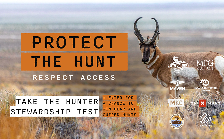 Protect the Hunt