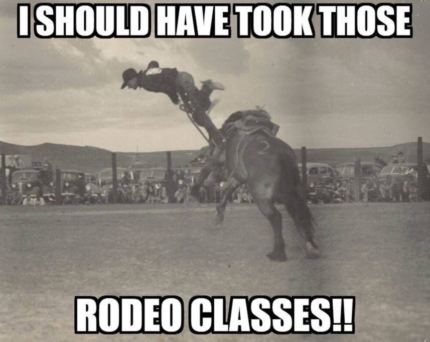 Rodeo Meme