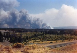 Yellowstone Fires