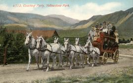 Yellowstone postcard