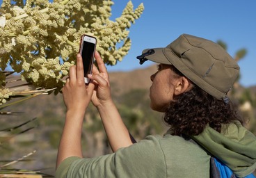 iNaturalist