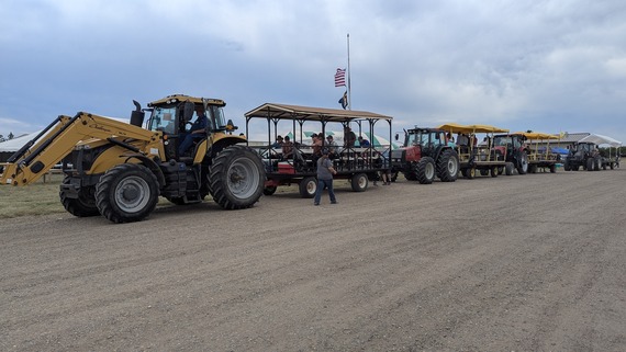 Tractors with trailers lined up to carry people around the property
