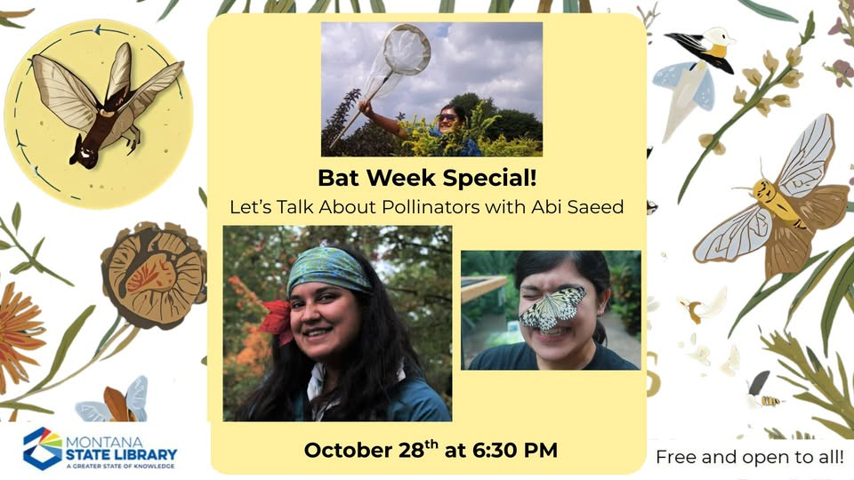 Bat Week Special